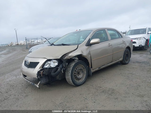 2009 Toyota Corolla S/le/xle მანქანა იყიდება აუქციონზე, vin: 2T1BU40E19C050702, აუქციონის ნომერი: 12568505