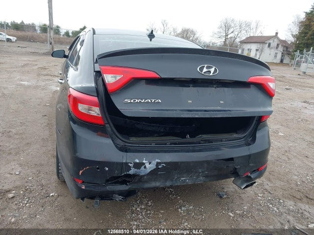 5NPE24AF3GH293139 Hyundai SONATA SE