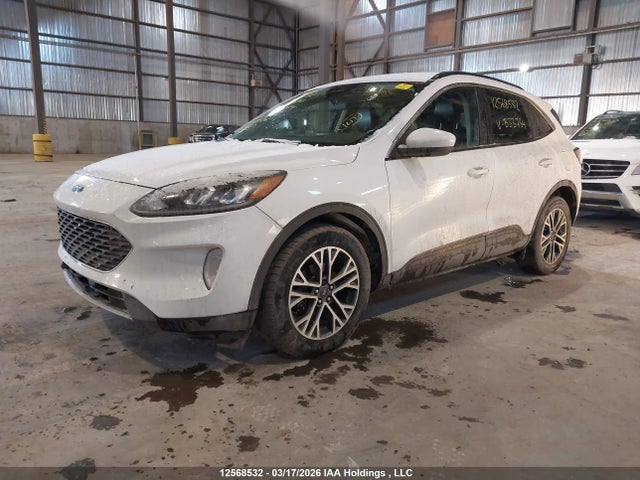 12568532 :رقم المزاد ، 1FMCU9H94LUB33734 vin ، 2020 Ford Escape Sel مزاد بيع