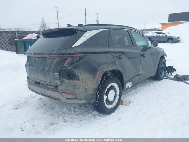 Продажа на аукционе авто 2026 Hyundai Tucson, vin: 3KMJCCDE6TE030521, номер лота: 12568533