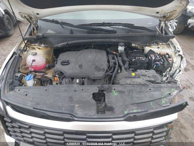 KNDPVCDFXT7428220 KIA Sportage Ex/ex Premium