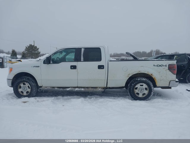 Продаж на аукціоні авто 2013 Ford F-150, vin: 1FTFW1EF5DFD57155, номер лоту: 12568666
