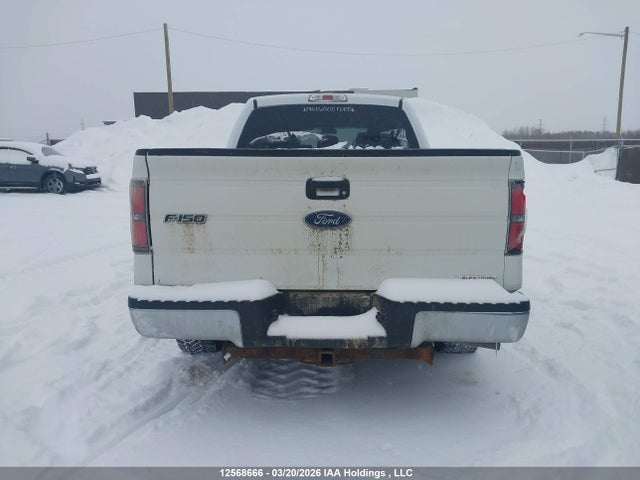 Продаж на аукціоні авто 2013 Ford F-150, vin: 1FTFW1EF5DFD57155, номер лоту: 12568666