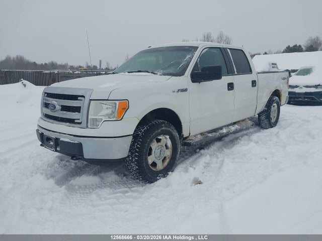 Продаж на аукціоні авто 2013 Ford F-150, vin: 1FTFW1EF5DFD57155, номер лоту: 12568666