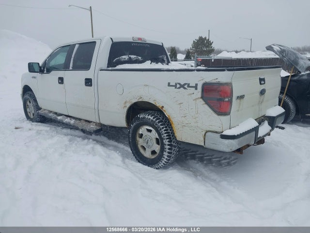 Продаж на аукціоні авто 2013 Ford F-150, vin: 1FTFW1EF5DFD57155, номер лоту: 12568666