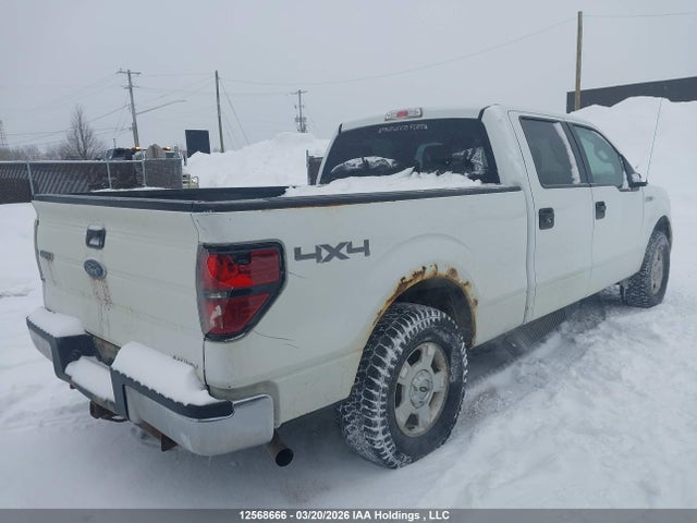 Продаж на аукціоні авто 2013 Ford F-150, vin: 1FTFW1EF5DFD57155, номер лоту: 12568666