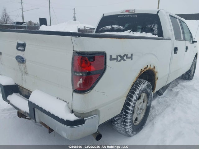 Продаж на аукціоні авто 2013 Ford F-150, vin: 1FTFW1EF5DFD57155, номер лоту: 12568666