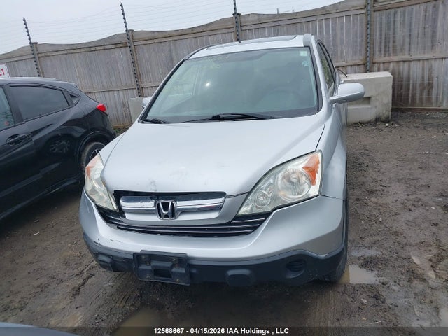 Aukcja sprzedaży 2009 Honda Cr-v Exl, vin: 5J6RE48749L803580, numer aukcji: 12568667