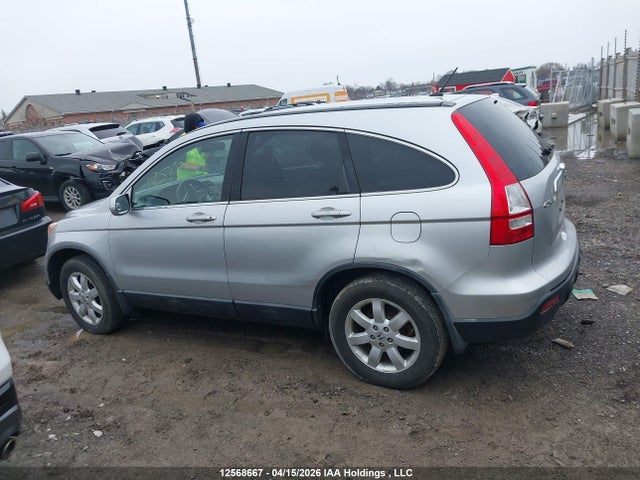 Aukcja sprzedaży 2009 Honda Cr-v Exl, vin: 5J6RE48749L803580, numer aukcji: 12568667