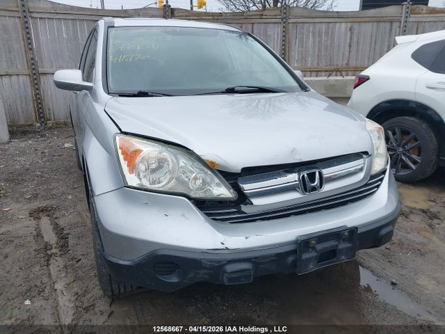 Aukcja sprzedaży 2009 Honda Cr-v Exl, vin: 5J6RE48749L803580, numer aukcji: 12568667