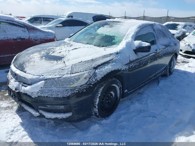 1HGCR2F02GA803758 Honda ACCORD EX