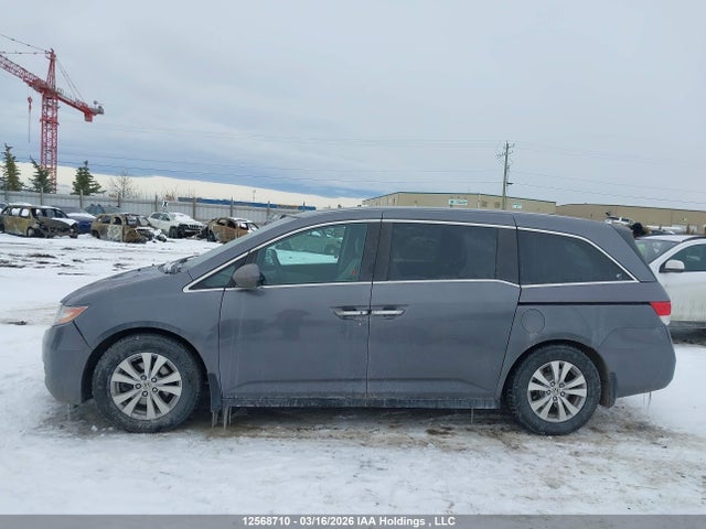 5FNRL5H6XEB505279 Honda Odyssey Ex-l