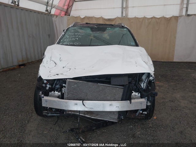 Продаж на аукціоні авто 2023 Hyundai Santa Fe Preferred Awd With Trend Package, vin: 5NMS3DAJ8PH623729, номер лоту: 12568757