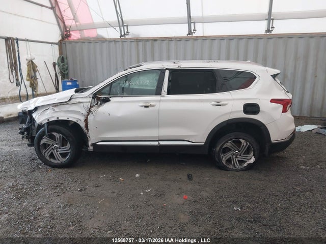 Продаж на аукціоні авто 2023 Hyundai Santa Fe Preferred Awd With Trend Package, vin: 5NMS3DAJ8PH623729, номер лоту: 12568757
