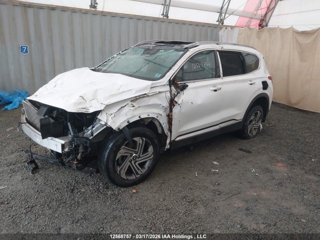Продаж на аукціоні авто 2023 Hyundai Santa Fe Preferred Awd With Trend Package, vin: 5NMS3DAJ8PH623729, номер лоту: 12568757