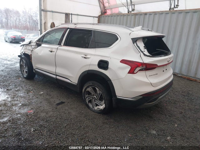 Продаж на аукціоні авто 2023 Hyundai Santa Fe Preferred Awd With Trend Package, vin: 5NMS3DAJ8PH623729, номер лоту: 12568757