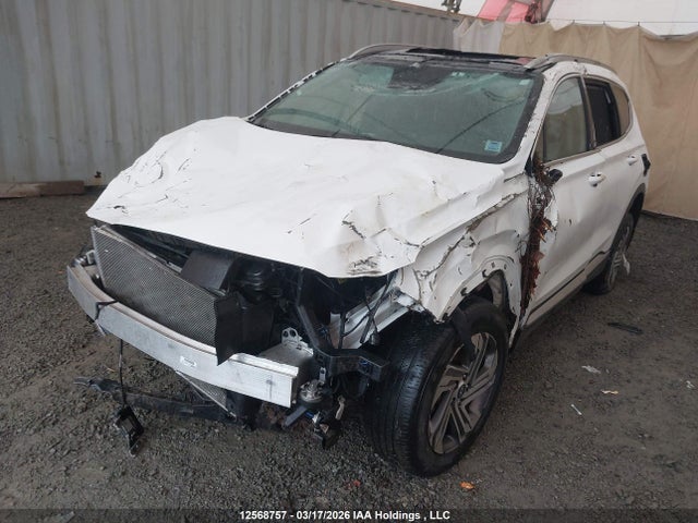 Продаж на аукціоні авто 2023 Hyundai Santa Fe Preferred Awd With Trend Package, vin: 5NMS3DAJ8PH623729, номер лоту: 12568757