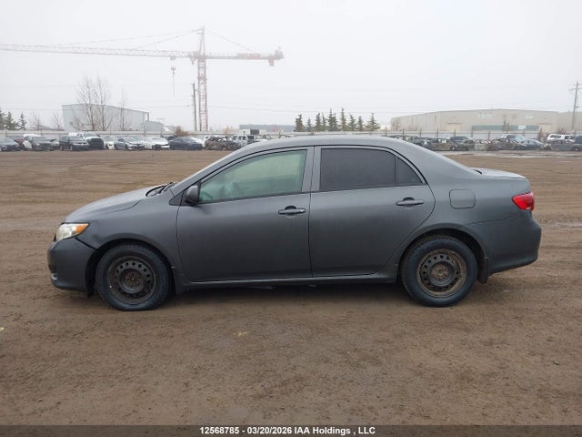 2009 Toyota Corolla Ce მანქანა იყიდება აუქციონზე, vin: 2T1BU40E49C180618, აუქციონის ნომერი: 12568785