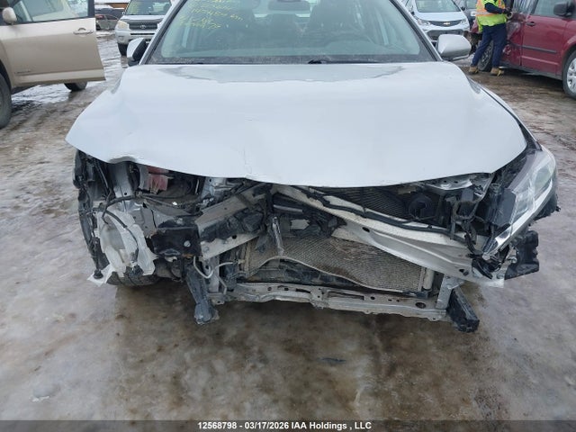 4T1B11HK1KU213614 Toyota CAMRY SE