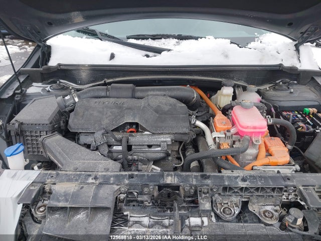 12568818 :رقم المزاد ، KNDPVDDG8T7270474 vin ، 2026 Kia Sportage Hev Ex/ex Premium مزاد بيع