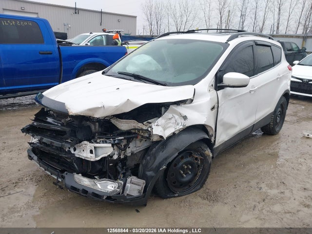 Aukcja sprzedaży 2013 Ford Escape Se, vin: 1FMCU0GX2DUA76091, numer aukcji: 12568844
