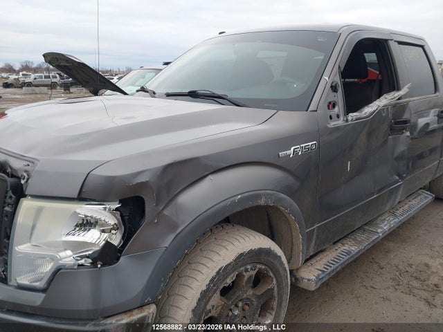 Aukcja sprzedaży 2010 Ford F150 Supercrew, vin: 1FTFW1EV7AFA43171, numer aukcji: 12568882