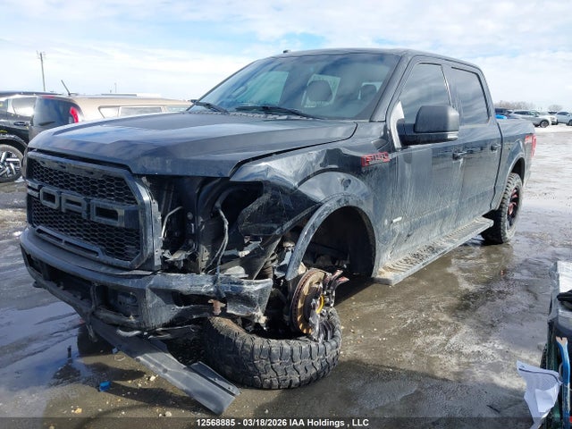 Aukcja sprzedaży 2017 Ford F150 Supercrew, vin: 1FTEW1EG5HFC39312, numer aukcji: 12568885