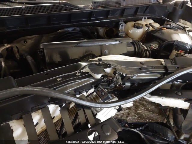 2019 Chevrolet Silverado K1500 მანქანა იყიდება აუქციონზე, vin: 1GCRYAEH1KZ270471, აუქციონის ნომერი: 12568902