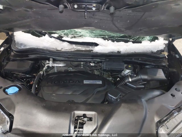 Продажа на аукционе авто 2017 Honda Pilot Exln, vin: 5FNYF6H75HB502344, номер лота: 12568931