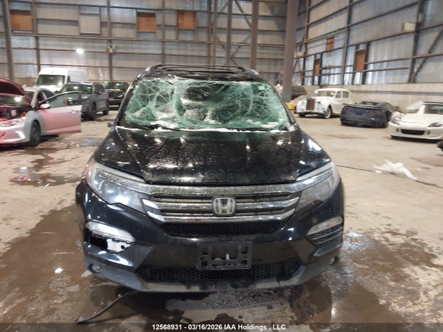 Продажа на аукционе авто 2017 Honda Pilot Exln, vin: 5FNYF6H75HB502344, номер лота: 12568931