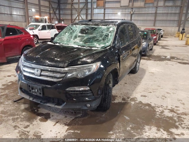 Продажа на аукционе авто 2017 Honda Pilot Exln, vin: 5FNYF6H75HB502344, номер лота: 12568931