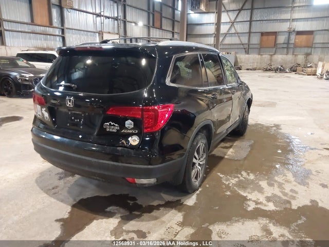 Продажа на аукционе авто 2017 Honda Pilot Exln, vin: 5FNYF6H75HB502344, номер лота: 12568931