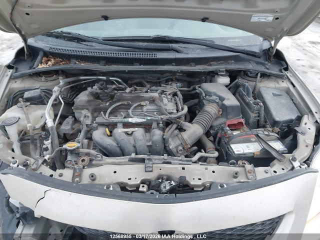12568955 :رقم المزاد ، 2T1BU40E49C185429 vin ، 2009 Toyota Corolla Ce مزاد بيع