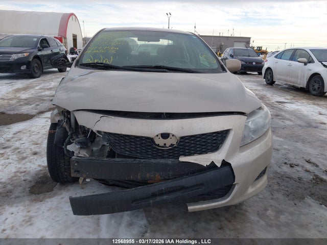 12568955 :رقم المزاد ، 2T1BU40E49C185429 vin ، 2009 Toyota Corolla Ce مزاد بيع