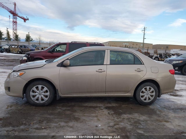 12568955 :رقم المزاد ، 2T1BU40E49C185429 vin ، 2009 Toyota Corolla Ce مزاد بيع