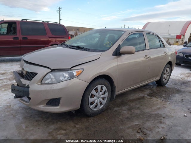 12568955 :رقم المزاد ، 2T1BU40E49C185429 vin ، 2009 Toyota Corolla Ce مزاد بيع