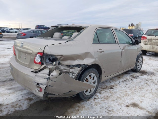 12568955 :رقم المزاد ، 2T1BU40E49C185429 vin ، 2009 Toyota Corolla Ce مزاد بيع