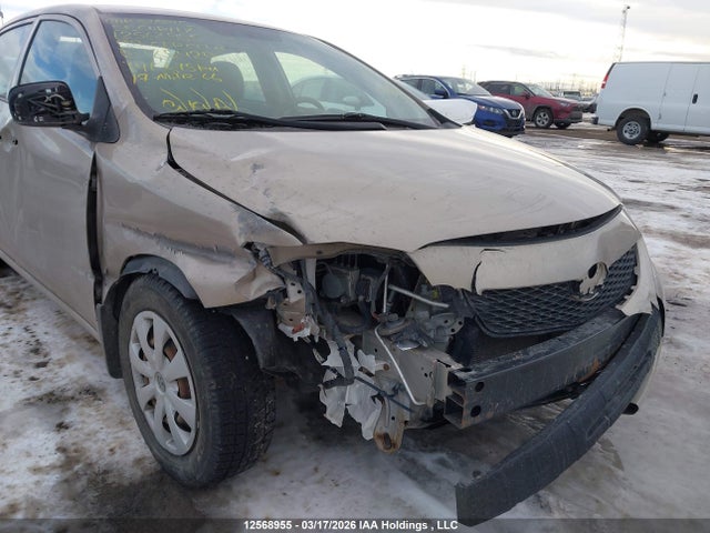 12568955 :رقم المزاد ، 2T1BU40E49C185429 vin ، 2009 Toyota Corolla Ce مزاد بيع