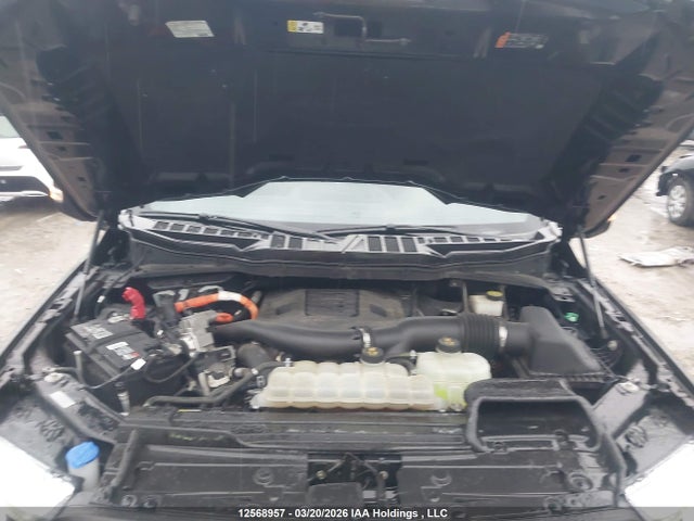 Продаж на аукціоні авто 2022 Ford F-150 Xlt, vin: 1FTFW1ED9NFB04677, номер лоту: 12568957