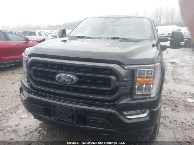 Продаж на аукціоні авто 2022 Ford F-150 Xlt, vin: 1FTFW1ED9NFB04677, номер лоту: 12568957