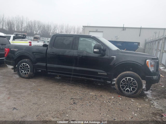 Продаж на аукціоні авто 2022 Ford F-150 Xlt, vin: 1FTFW1ED9NFB04677, номер лоту: 12568957