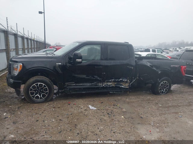 Продаж на аукціоні авто 2022 Ford F-150 Xlt, vin: 1FTFW1ED9NFB04677, номер лоту: 12568957