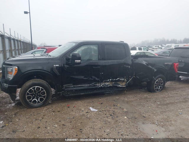 Продаж на аукціоні авто 2022 Ford F-150 Xlt, vin: 1FTFW1ED9NFB04677, номер лоту: 12568957