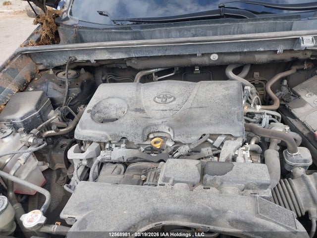 2021 Toyota Rav4 Xle/xle Premium მანქანა იყიდება აუქციონზე, vin: 2T3R1RFV9MW238362, აუქციონის ნომერი: 12568981