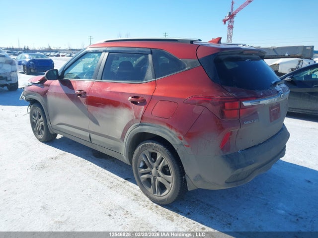 2021 Kia Seltos Lx მანქანა იყიდება აუქციონზე, vin: KNDEPCAA5M7065112, აუქციონის ნომერი: 12546828
