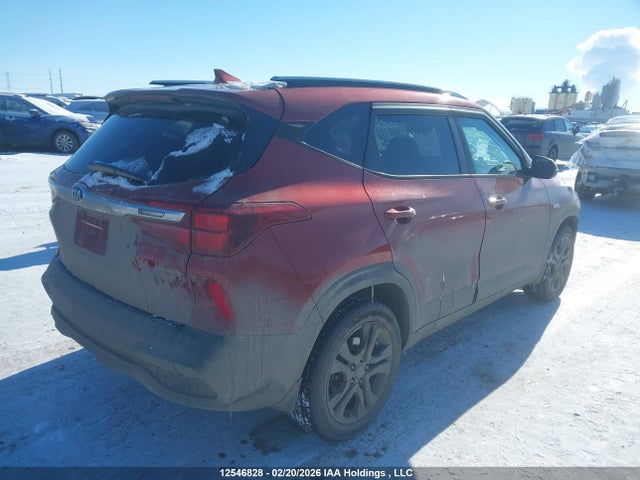 2021 Kia Seltos Lx მანქანა იყიდება აუქციონზე, vin: KNDEPCAA5M7065112, აუქციონის ნომერი: 12546828
