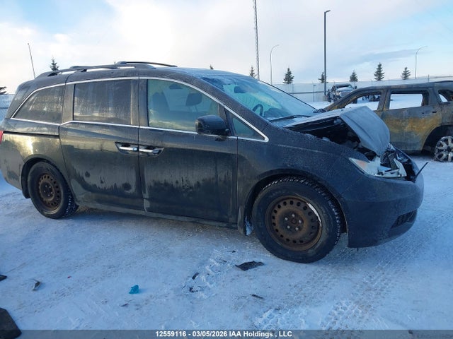 Продаж на аукціоні авто 2013 Honda Odyssey Ex-l, vin: 5FNRL5H61DB505573, номер лоту: 12559116