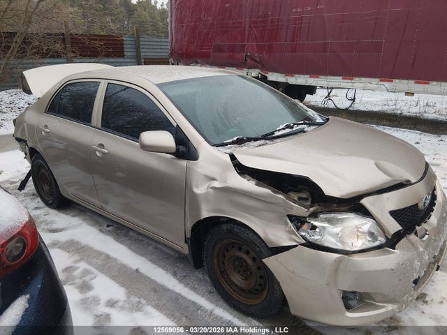2010 Toyota Corolla Ce მანქანა იყიდება აუქციონზე, vin: 2T1BU4EE9AC276063, აუქციონის ნომერი: 12569056