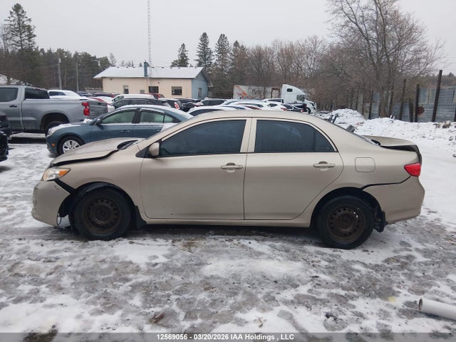 2010 Toyota Corolla Ce მანქანა იყიდება აუქციონზე, vin: 2T1BU4EE9AC276063, აუქციონის ნომერი: 12569056