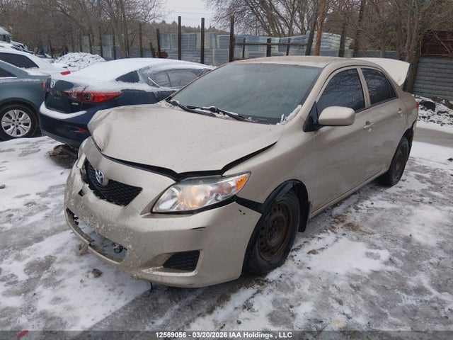 2010 Toyota Corolla Ce მანქანა იყიდება აუქციონზე, vin: 2T1BU4EE9AC276063, აუქციონის ნომერი: 12569056